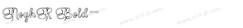 NoyhR Bold字体转换